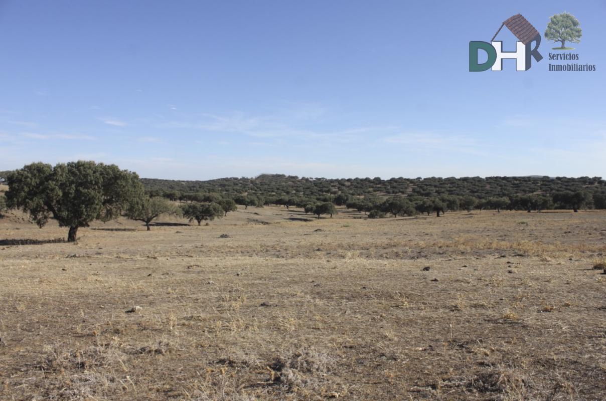 For sale of land in Cáceres