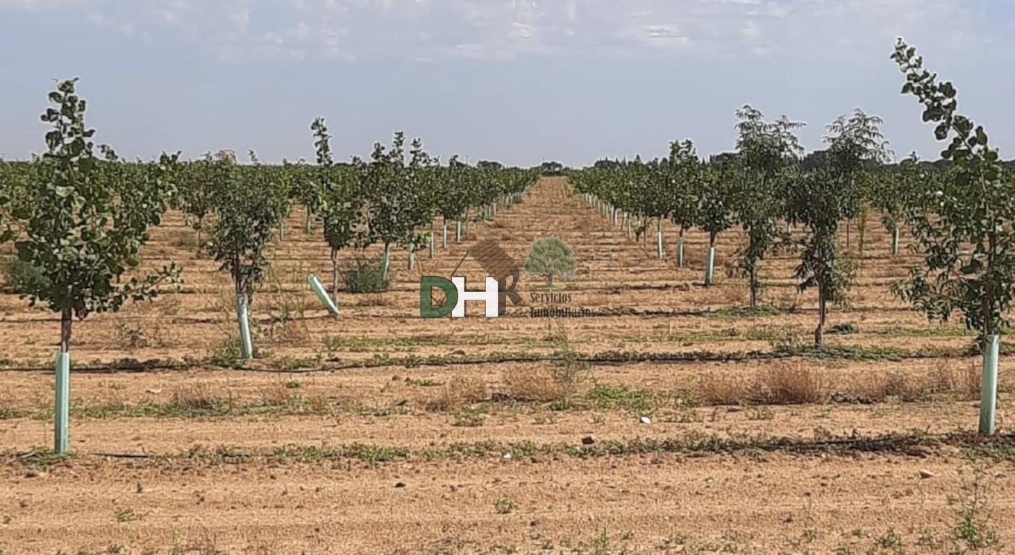 For sale of land in Ciudad Real
