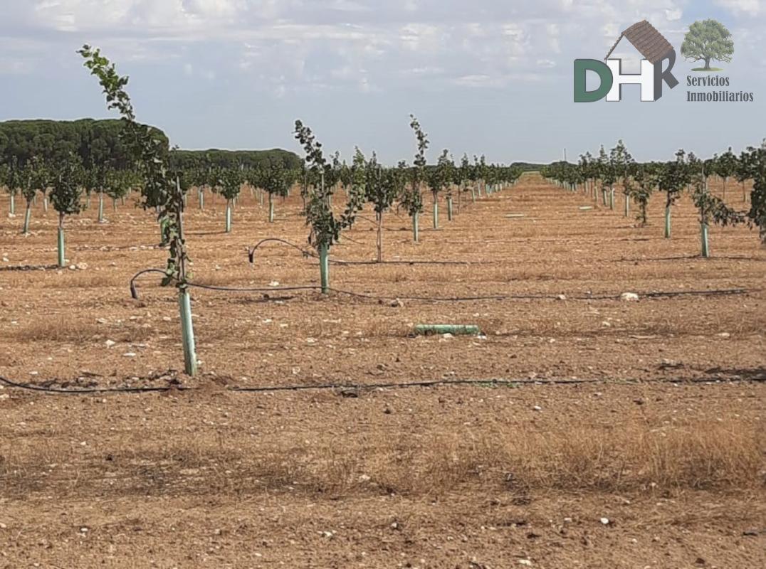 For sale of land in Ciudad Real