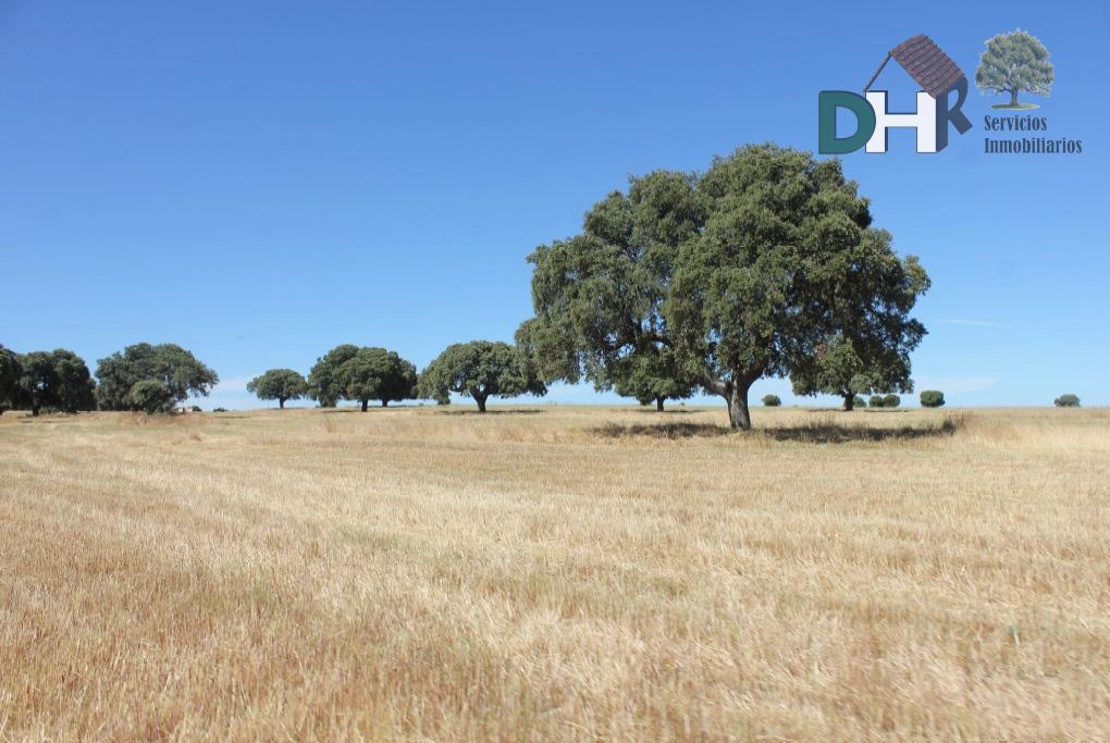 For sale of land in Salamanca