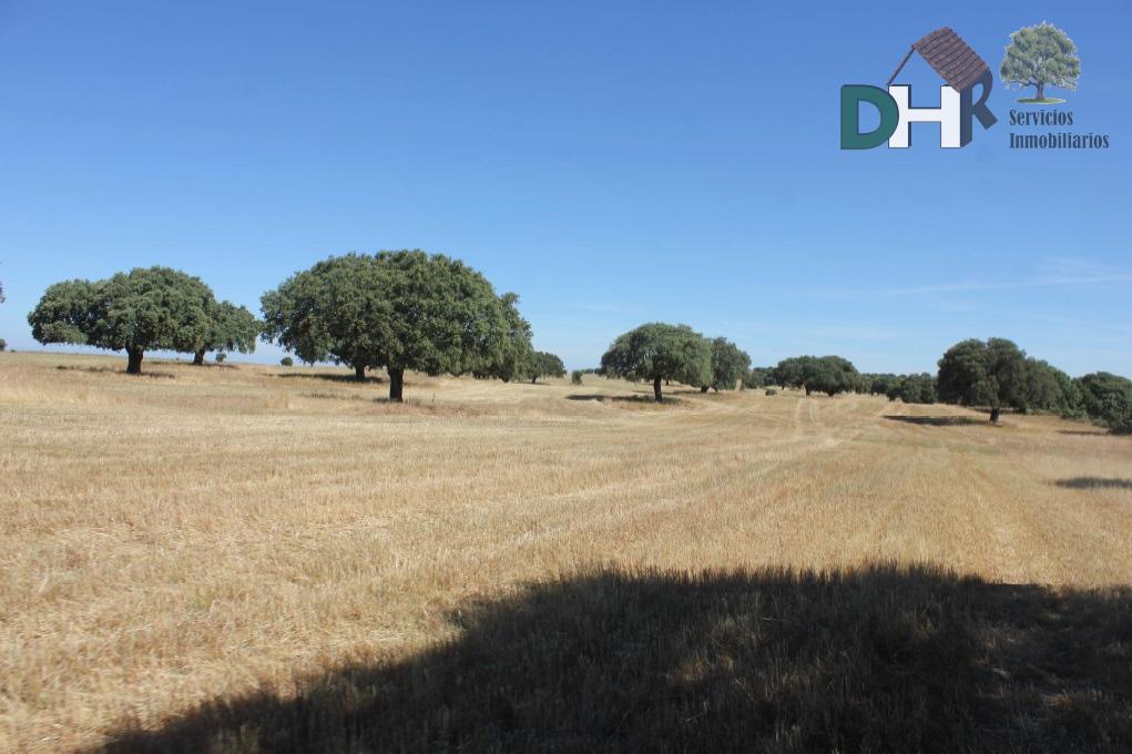 For sale of land in Salamanca