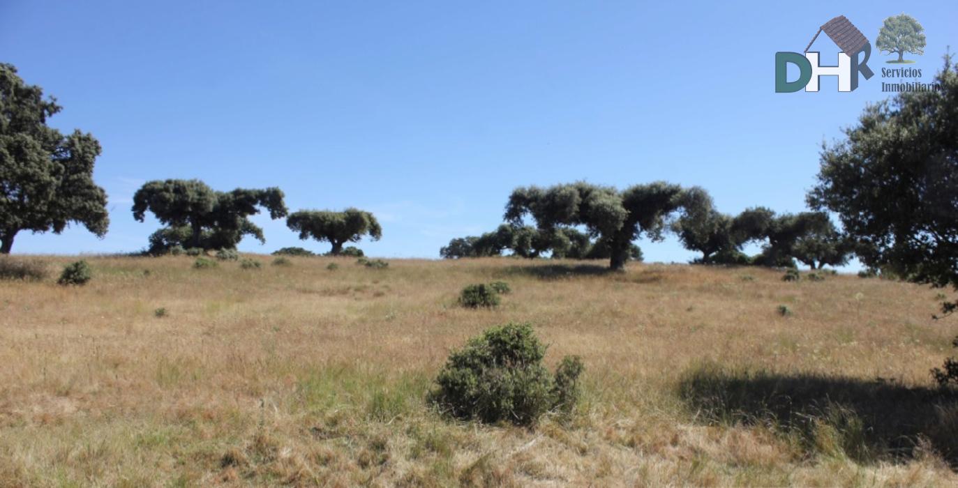 For sale of land in Salamanca
