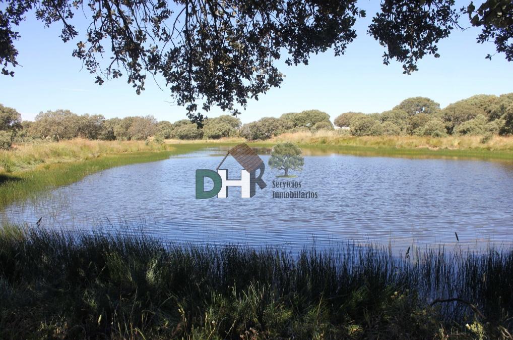 For sale of land in Salamanca