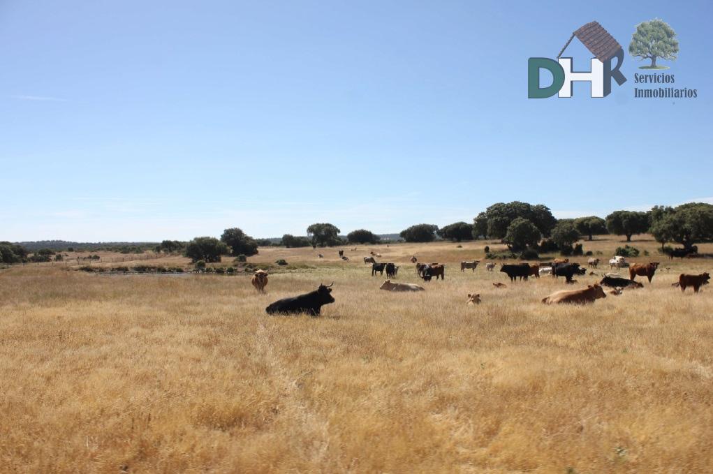 For sale of land in Salamanca