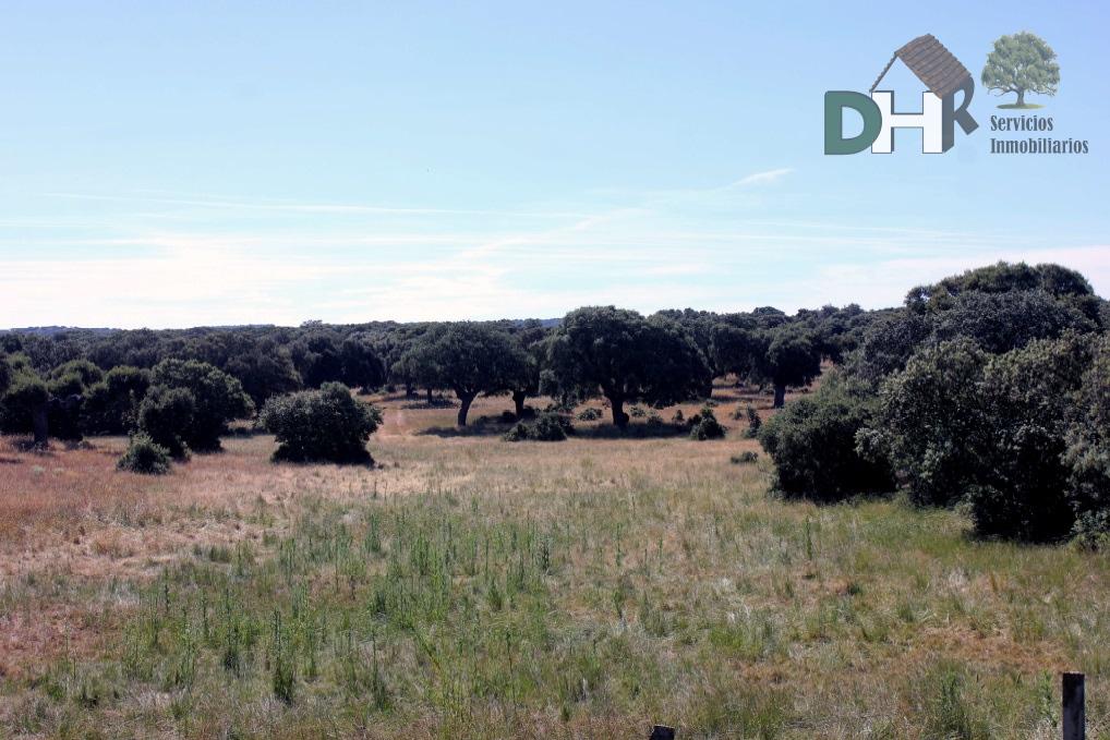 For sale of land in Salamanca
