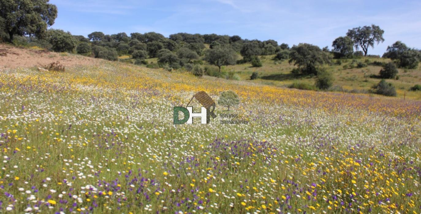 For sale of land in Cáceres