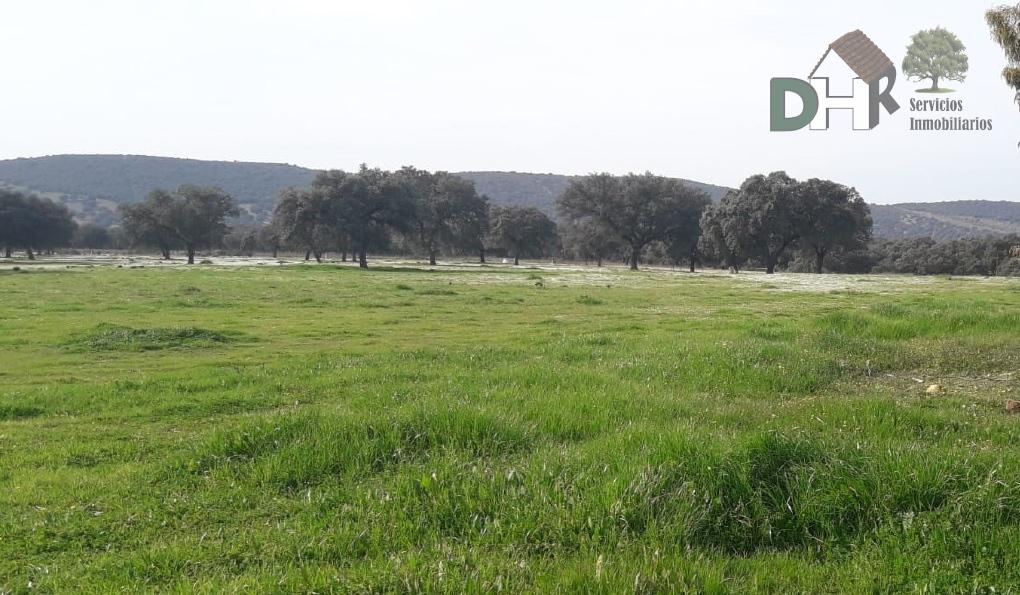 For sale of land in Ciudad Real