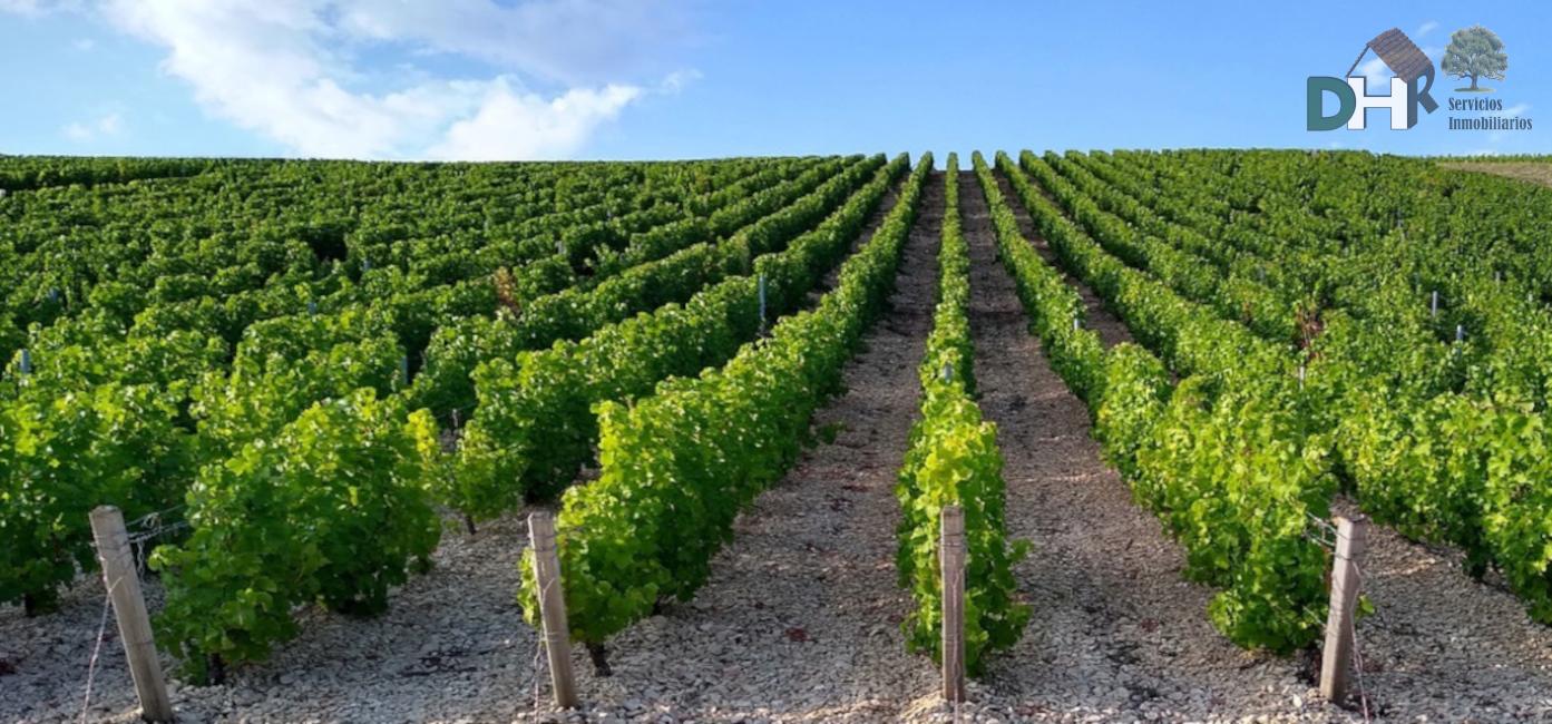 For sale of land in Ciudad Real