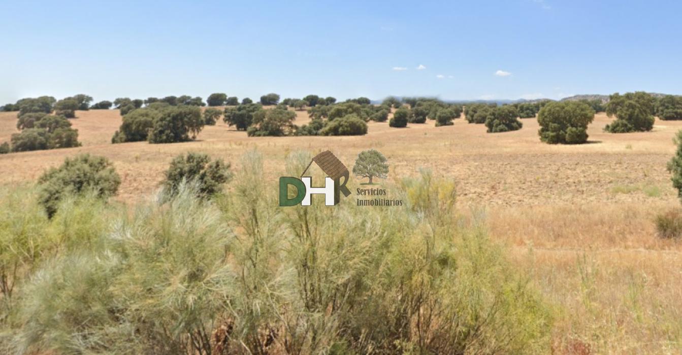 For sale of land in Toledo