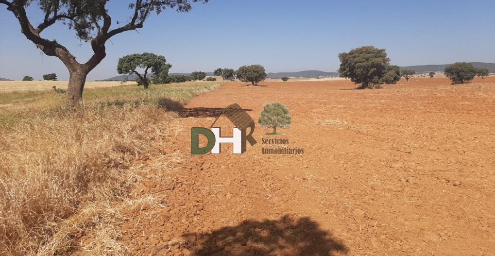For sale of land in Toledo