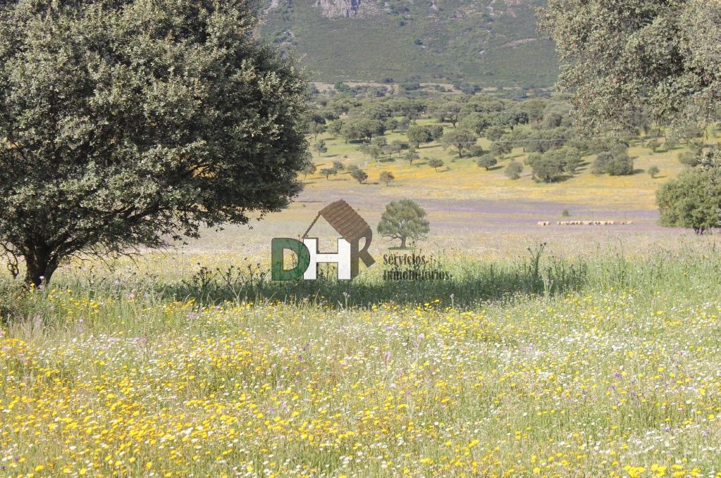 For sale of land in Cáceres