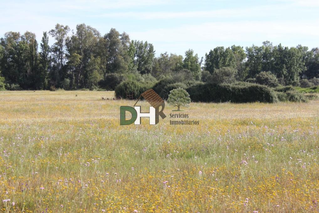 For sale of land in Cáceres