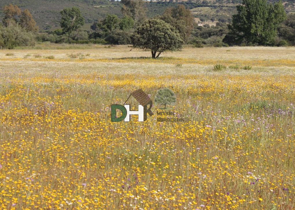 For sale of land in Cáceres