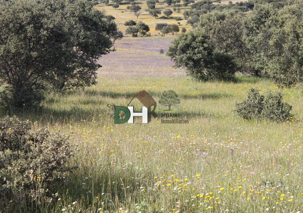 For sale of land in Cáceres