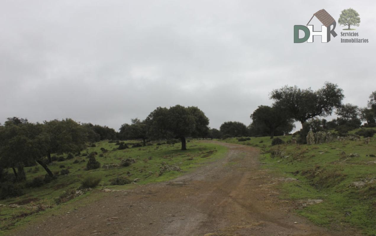 For sale of land in Cáceres