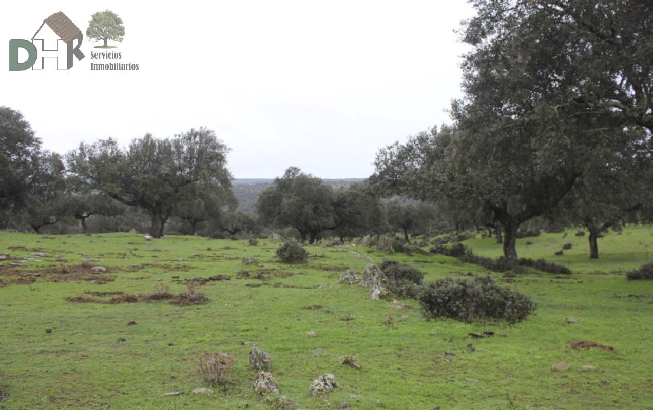 For sale of land in Cáceres