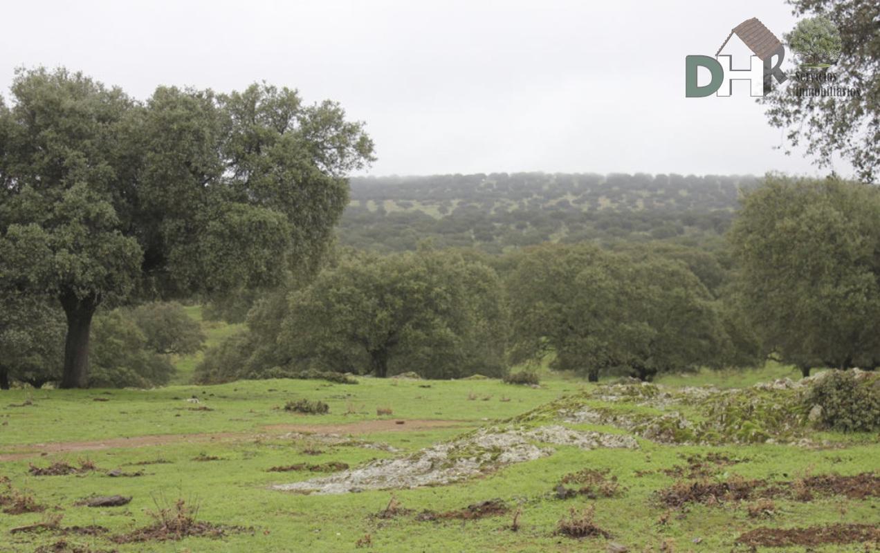 For sale of land in Cáceres