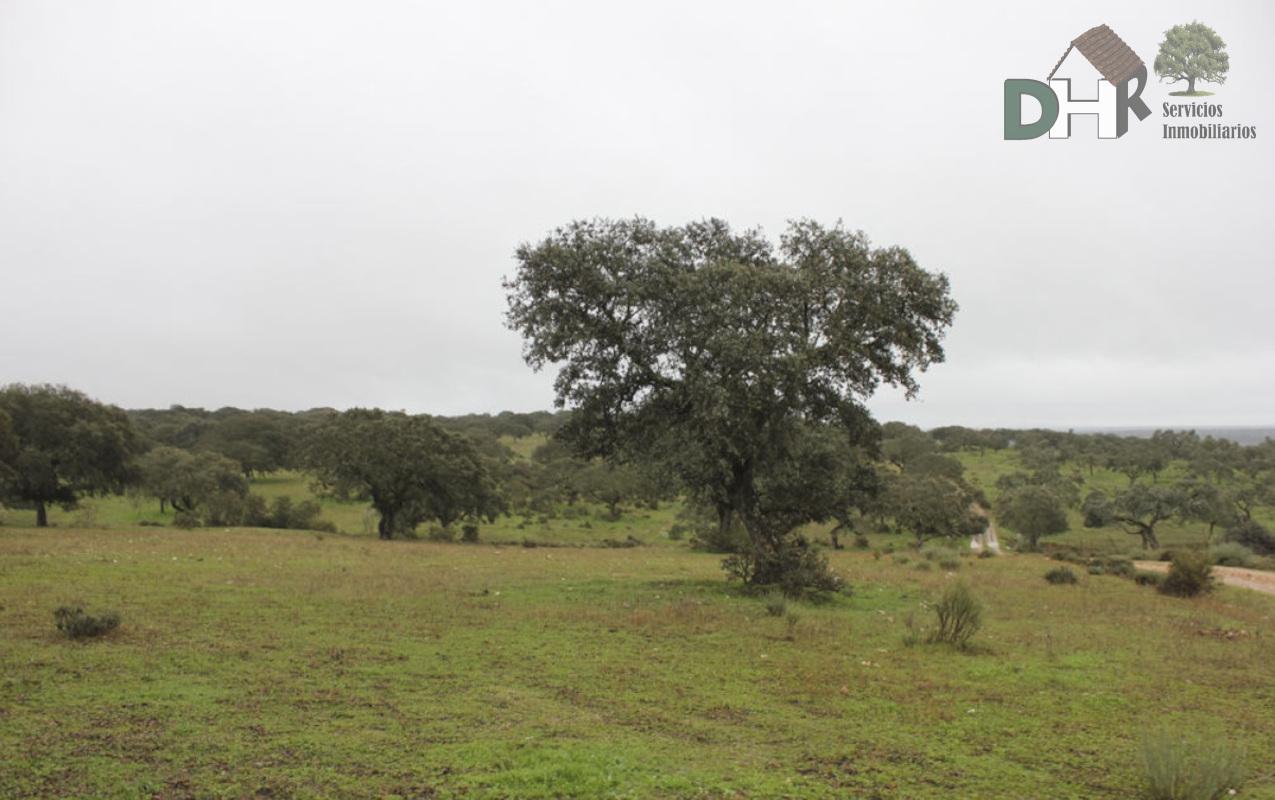 For sale of land in Cáceres