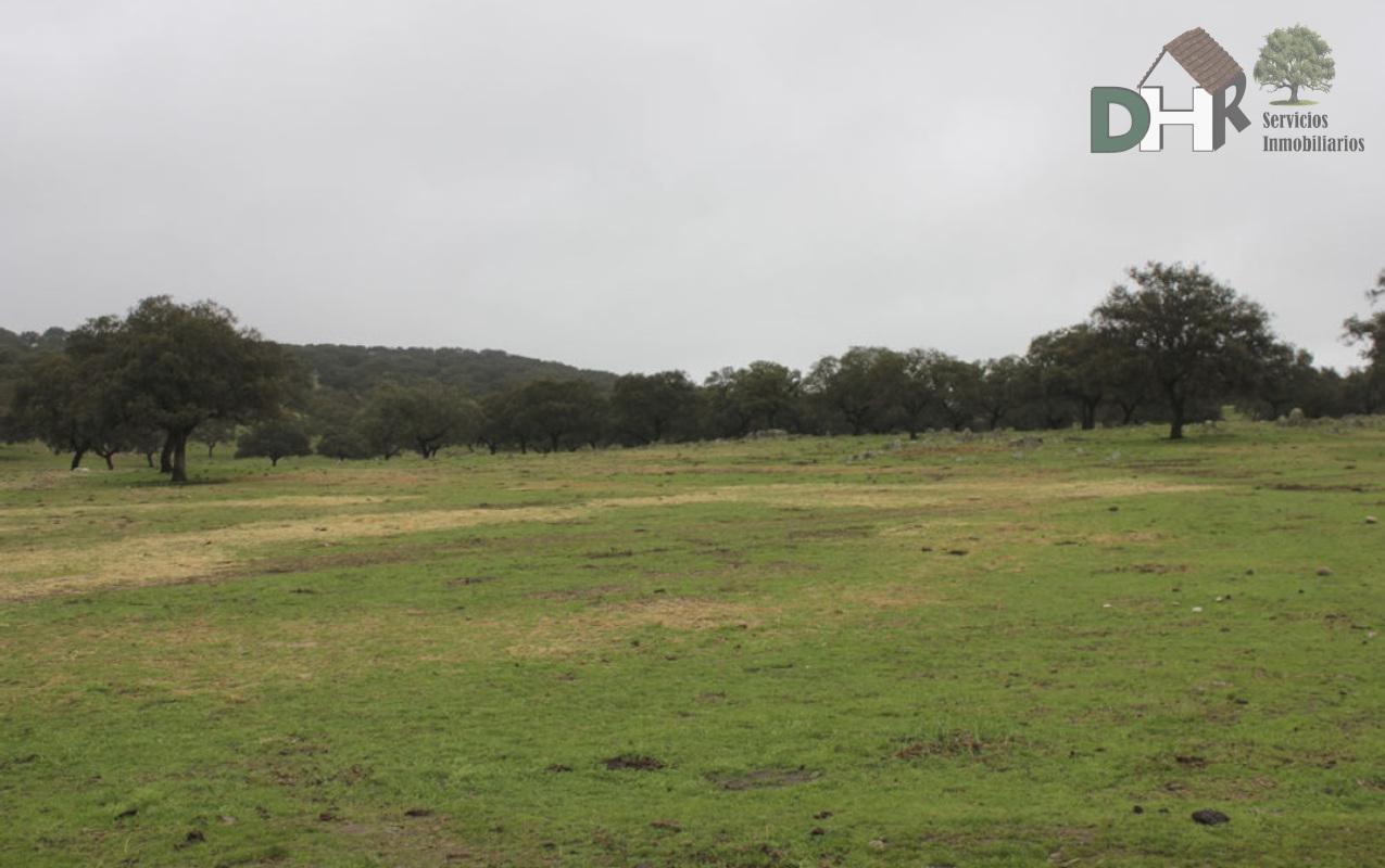 For sale of land in Cáceres
