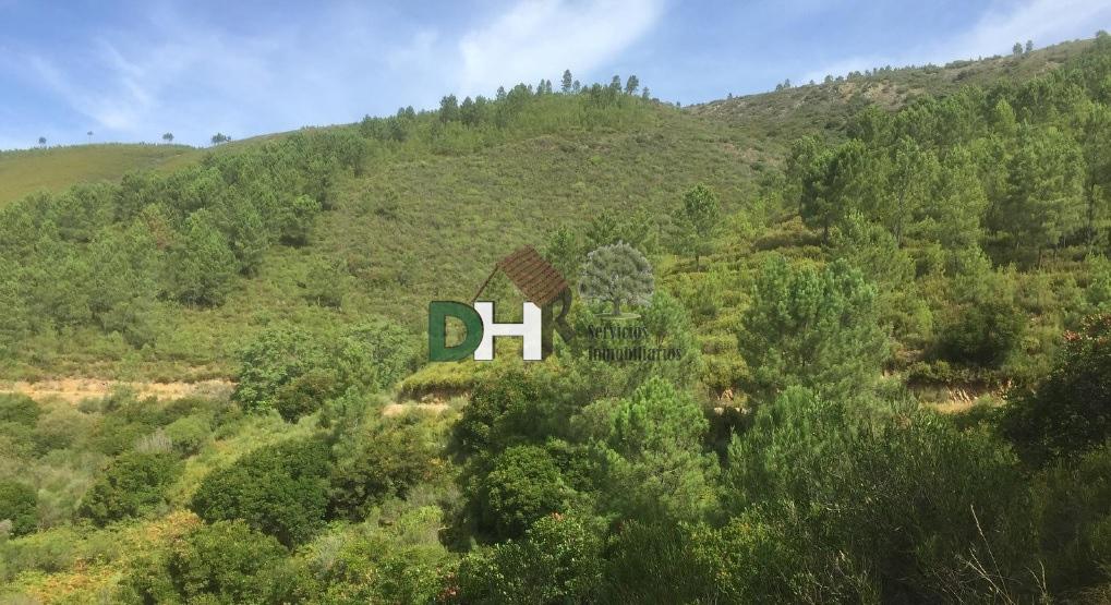 For sale of land in Cáceres