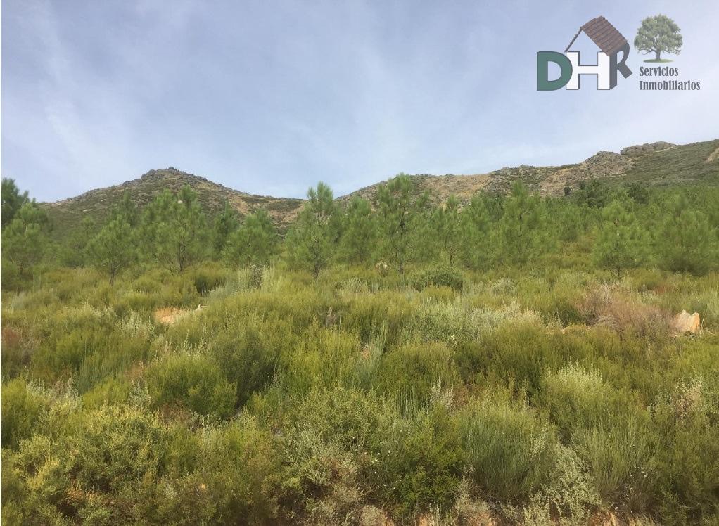 For sale of land in Cáceres