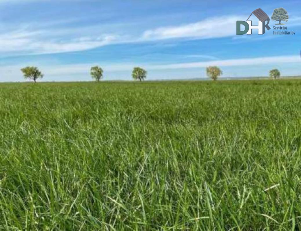 For sale of land in Palencia