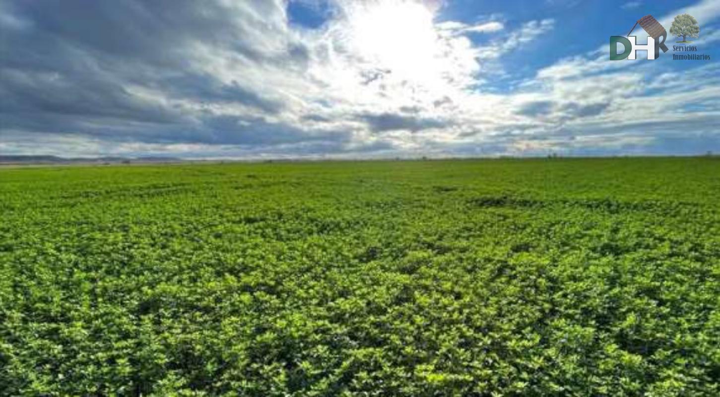 For sale of land in Palencia