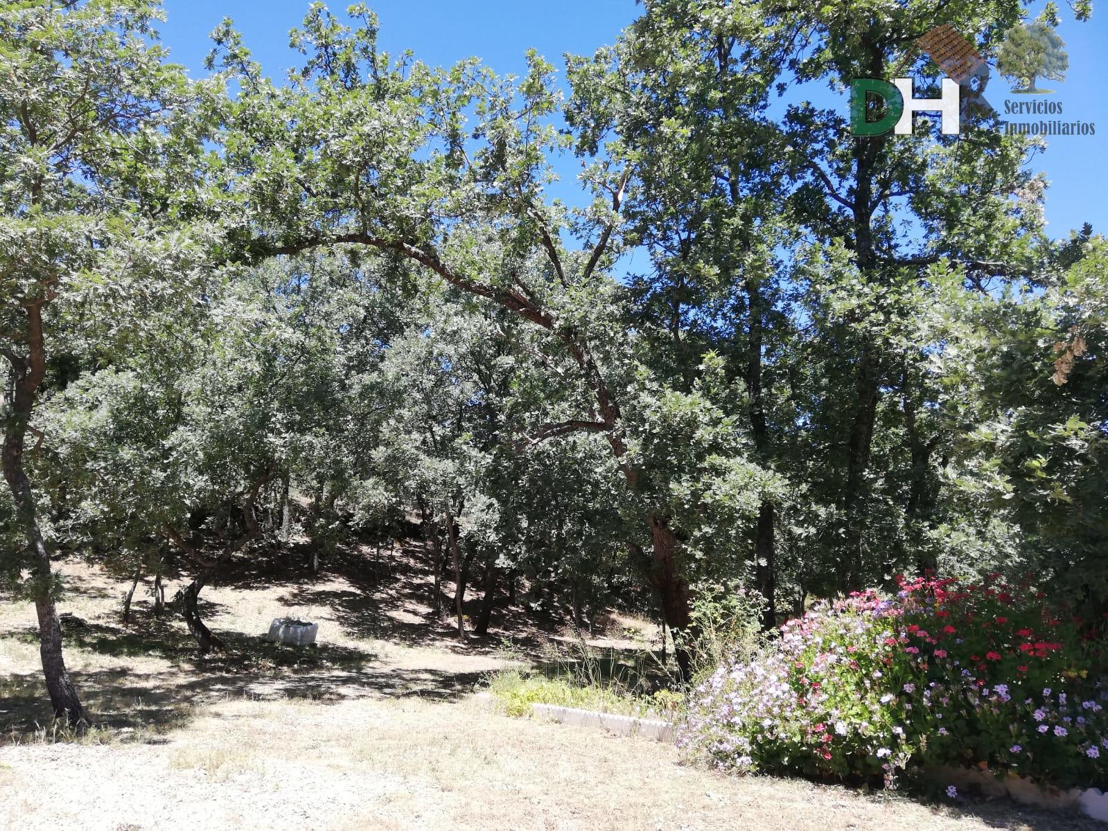 Venta de finca de recreo en Moraleja