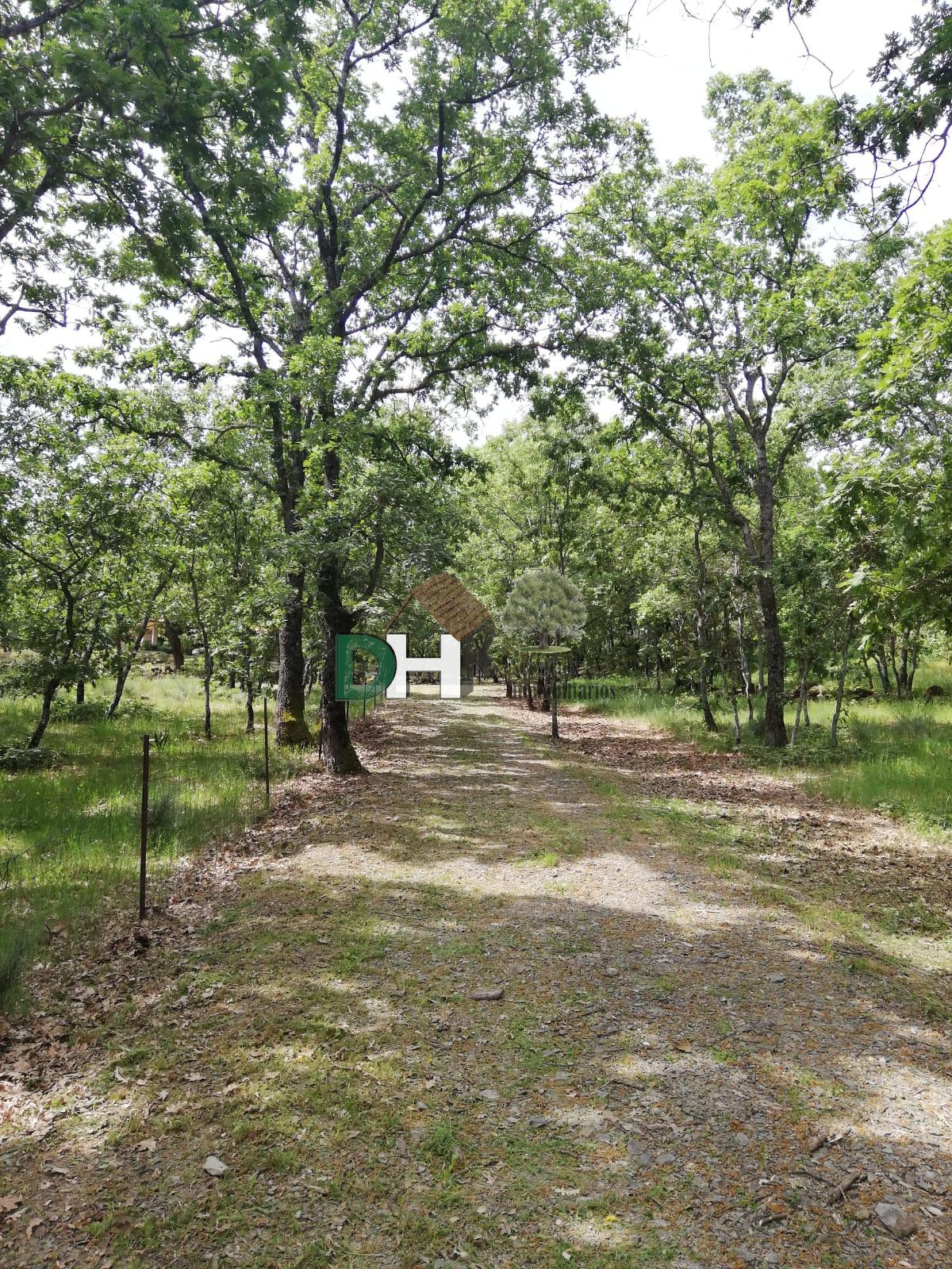 Venta de finca de recreo en Moraleja
