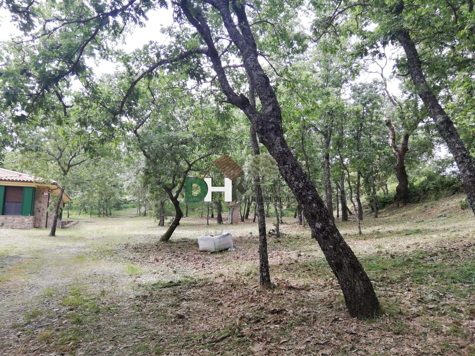 Venta de finca de recreo en Moraleja