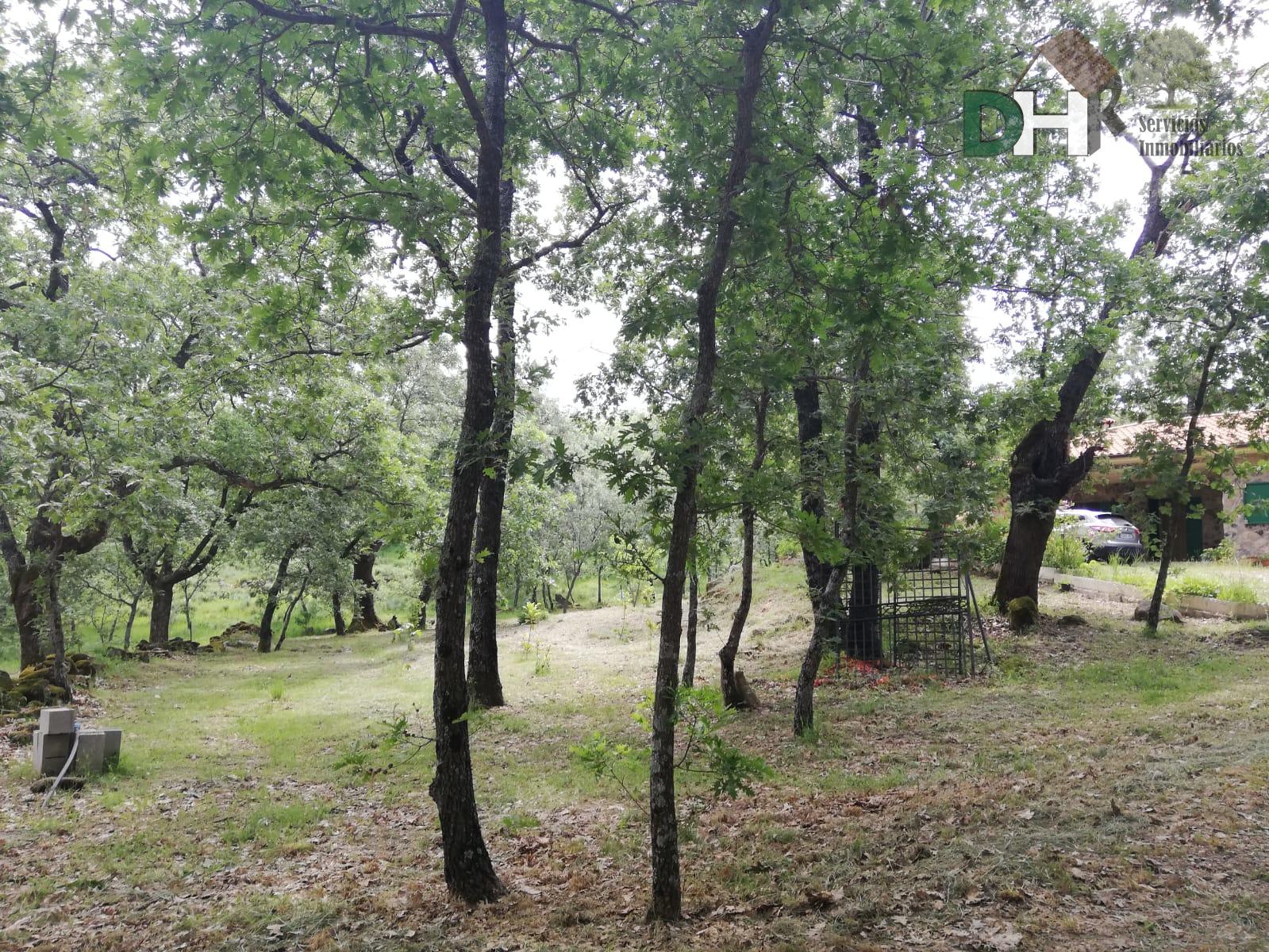 Venta de finca de recreo en Moraleja