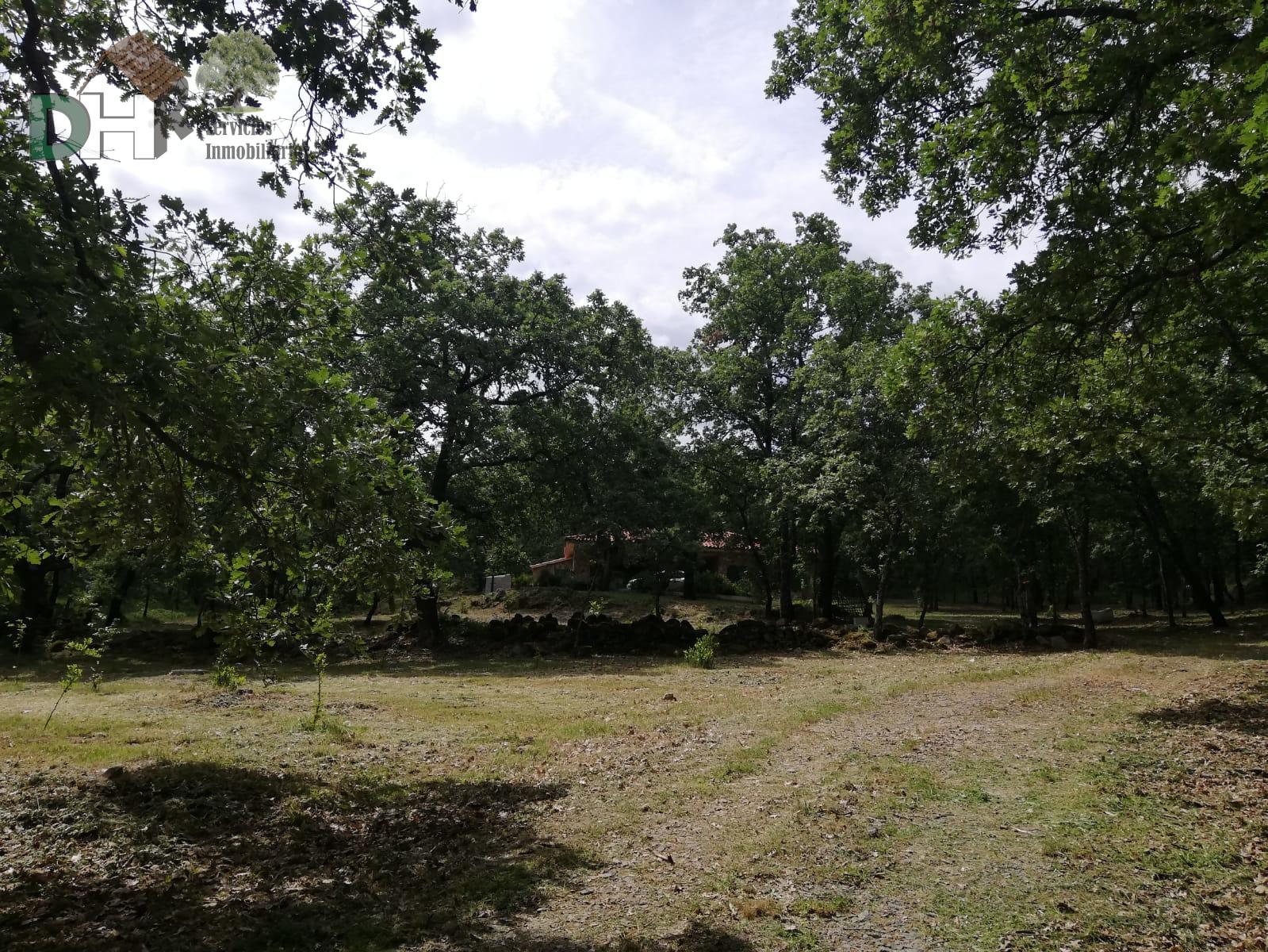 Venta de finca de recreo en Moraleja