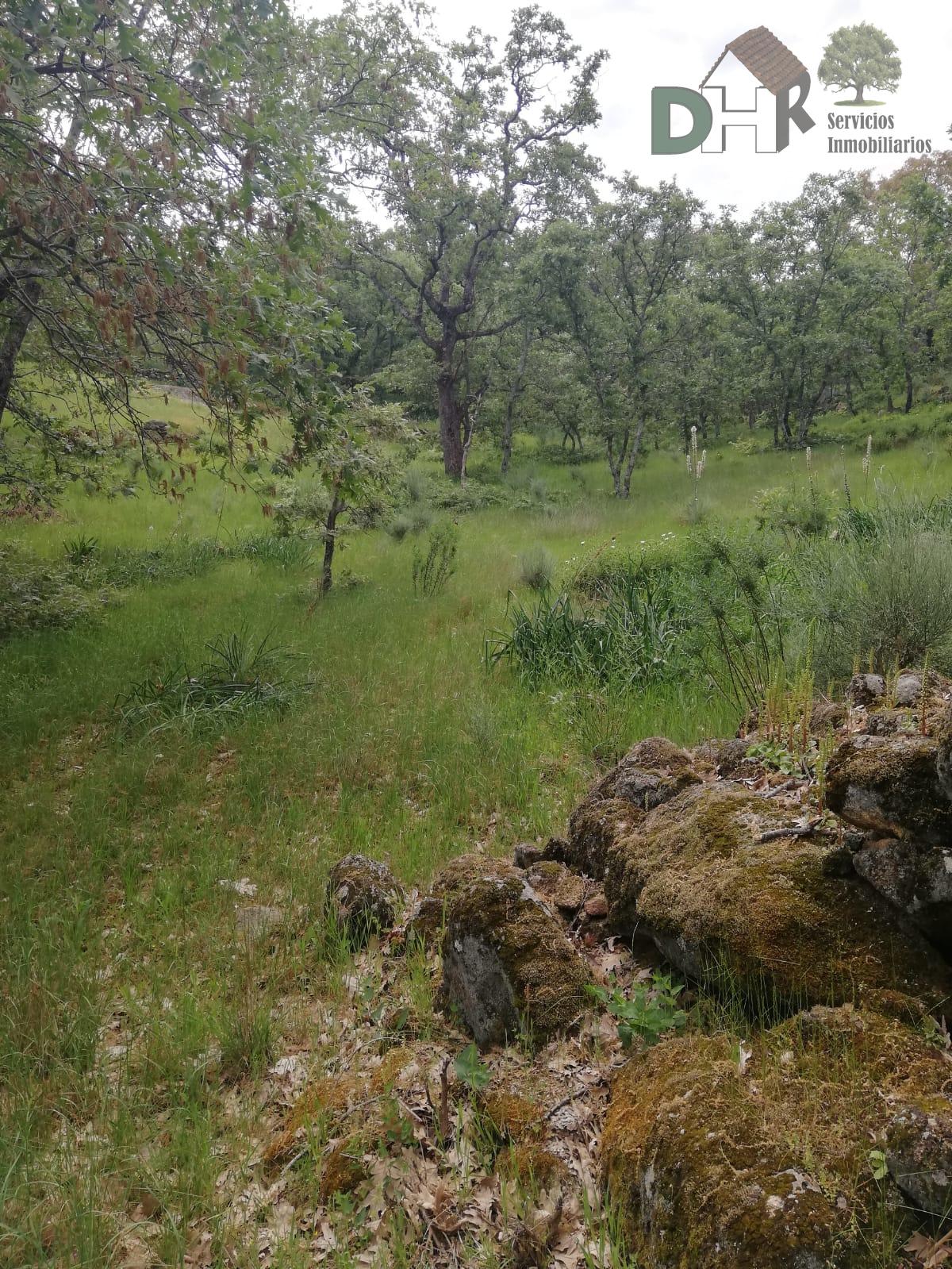 Venta de finca de recreo en Moraleja