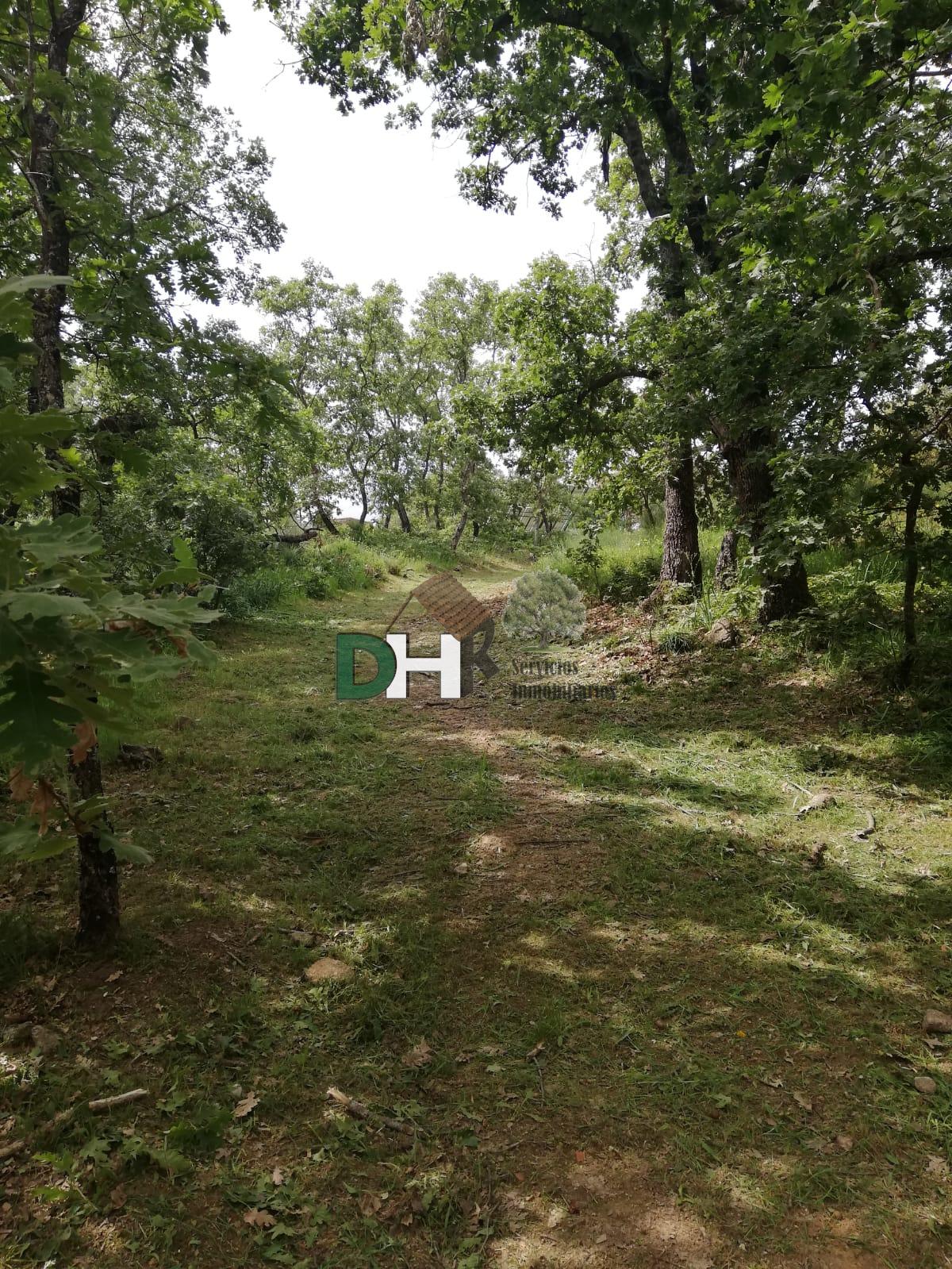 Venta de finca de recreo en Moraleja