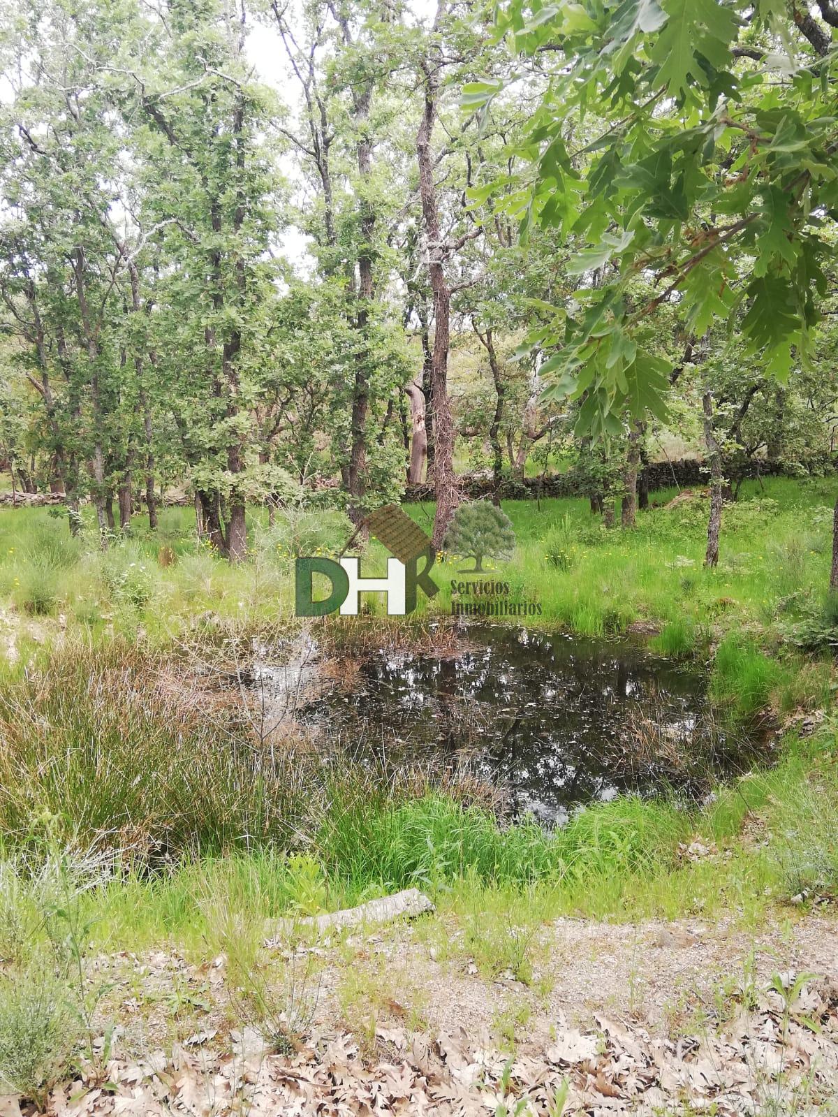 Venta de finca de recreo en Moraleja