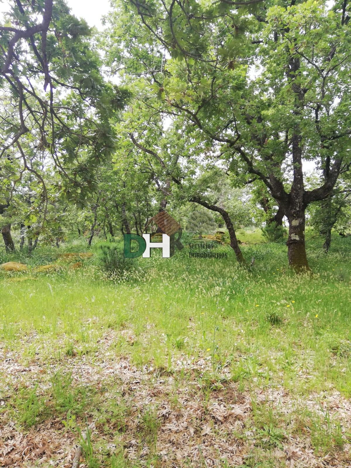 Venta de finca de recreo en Moraleja