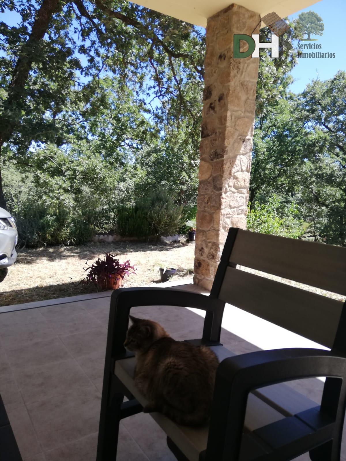 Venta de finca de recreo en Moraleja