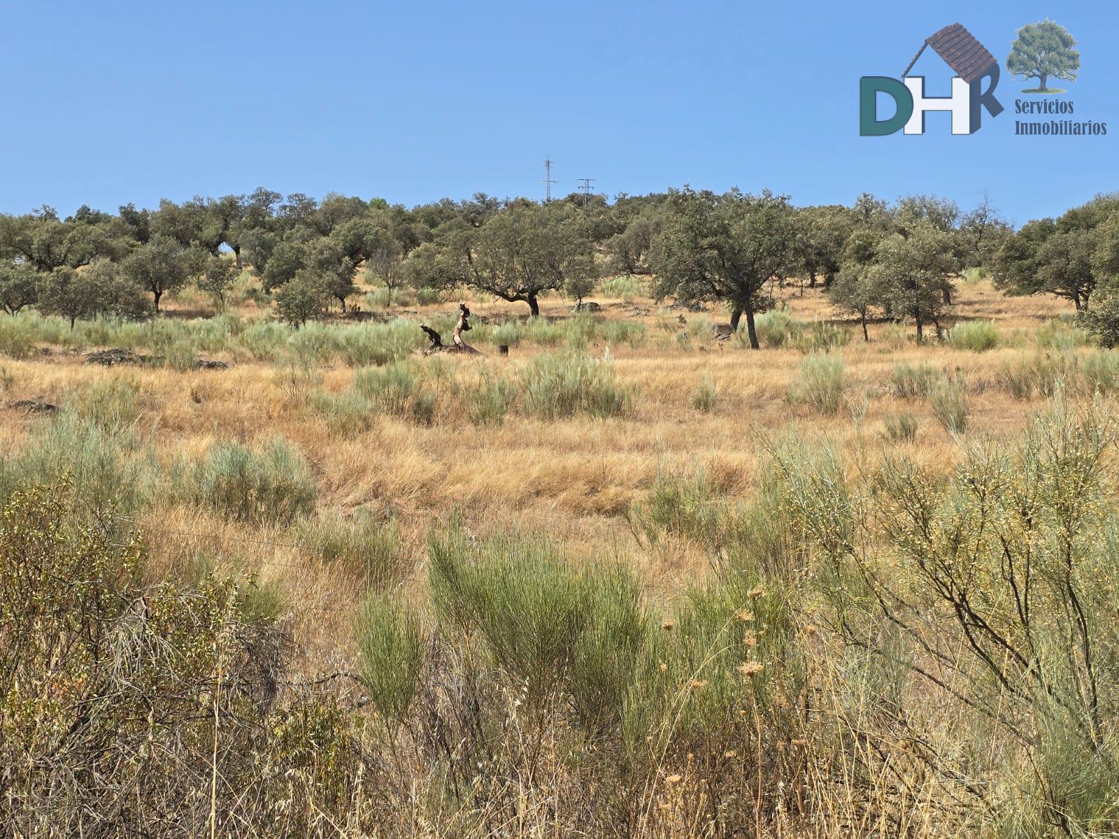 For sale of land in Cáceres