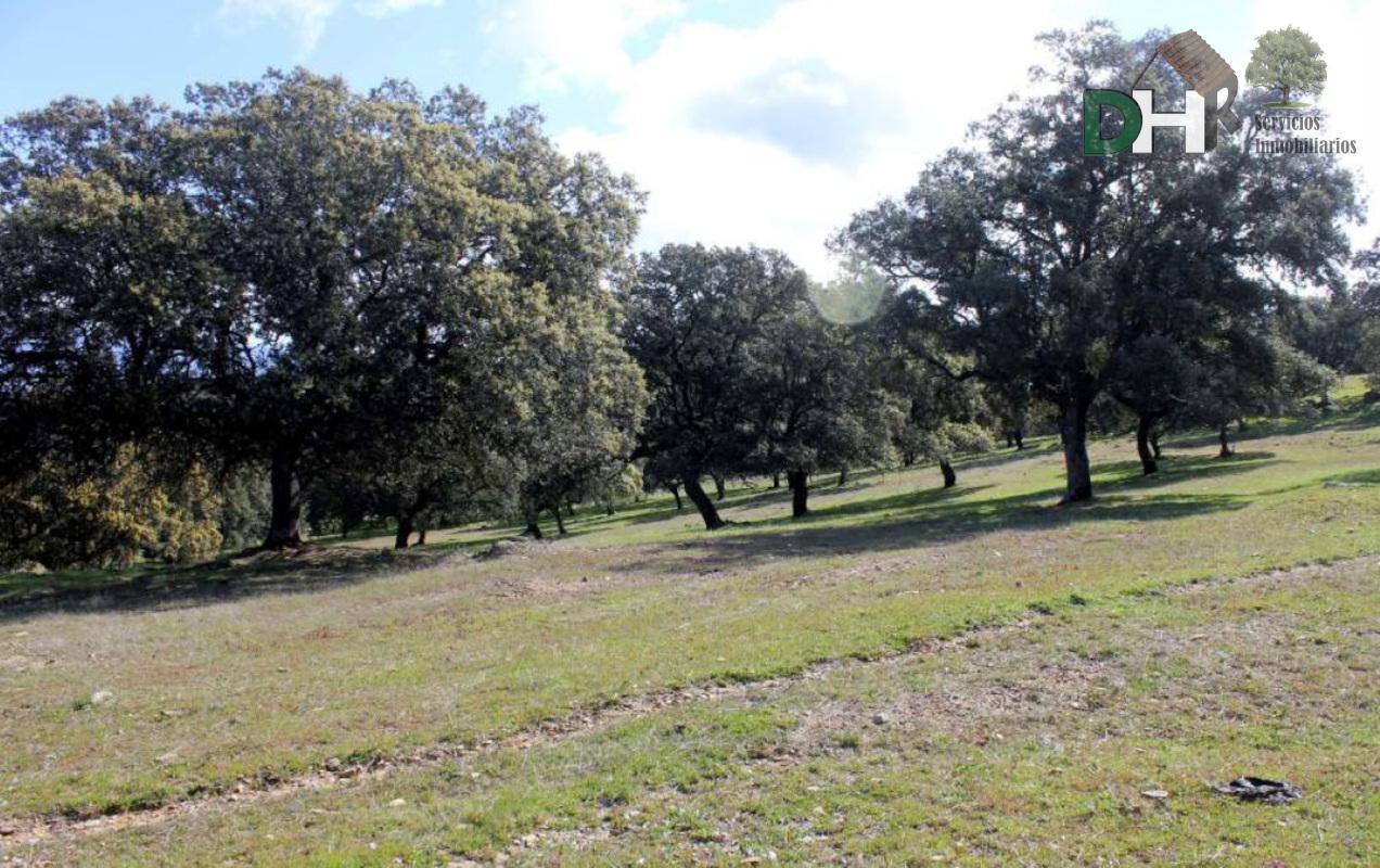 Venta de terreno en Cáceres Venta de terreno en Cáceres