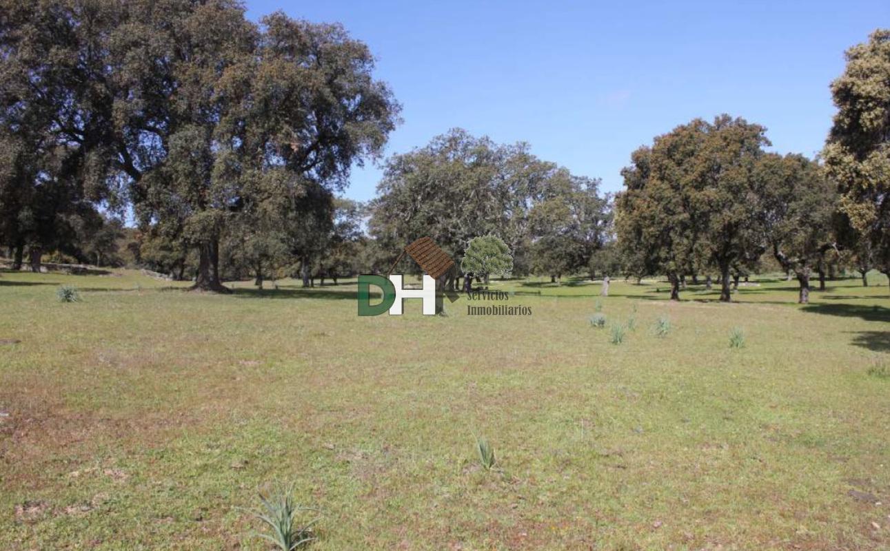 Venta de terreno en Cáceres Venta de terreno en Cáceres