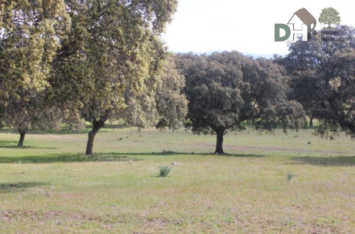 Venta de terreno en Cáceres Venta de terreno en Cáceres