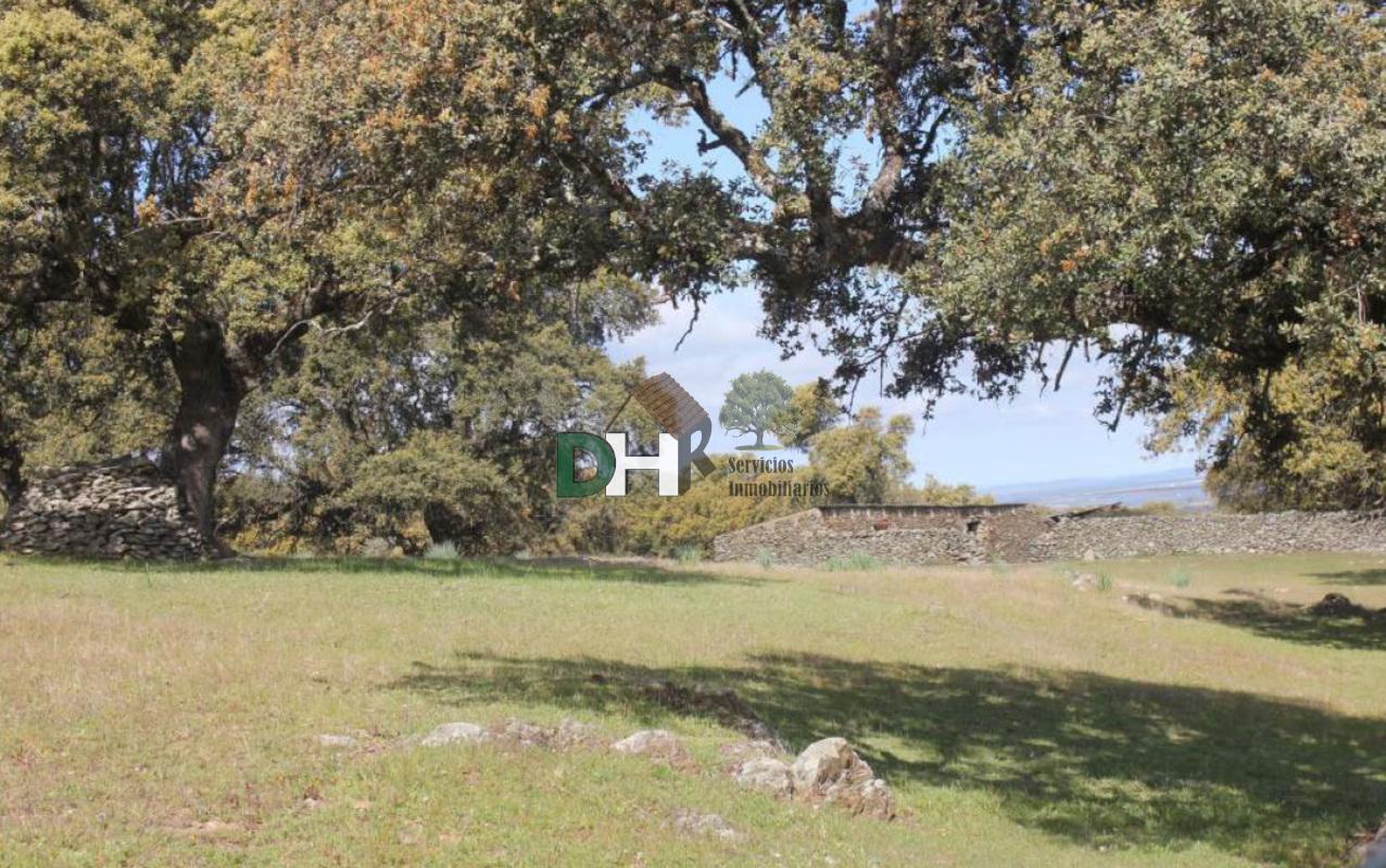 Venta de terreno en Cáceres Venta de terreno en Cáceres