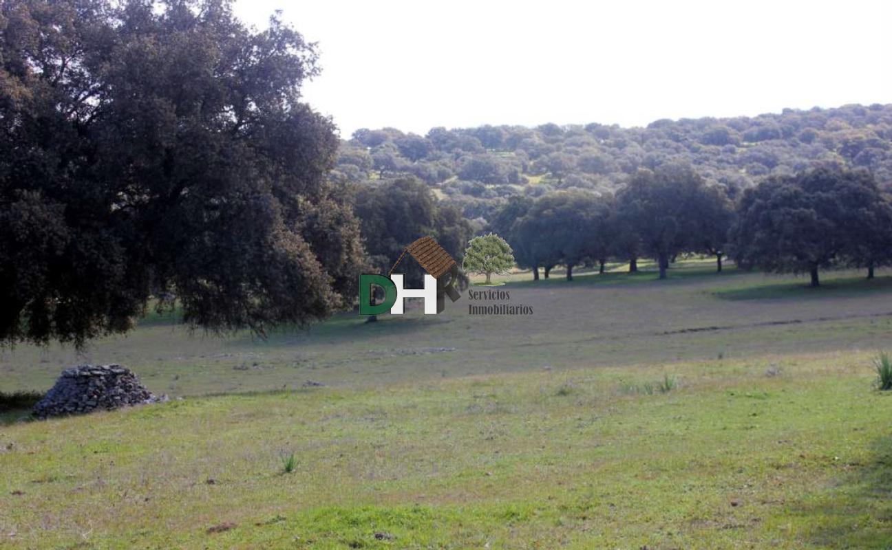 Venta de terreno en Cáceres Venta de terreno en Cáceres
