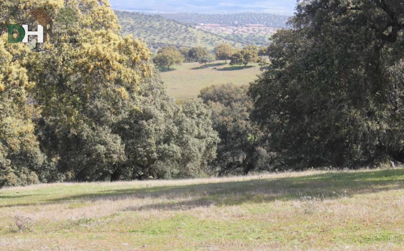 Venta de terreno en Cáceres Venta de terreno en Cáceres