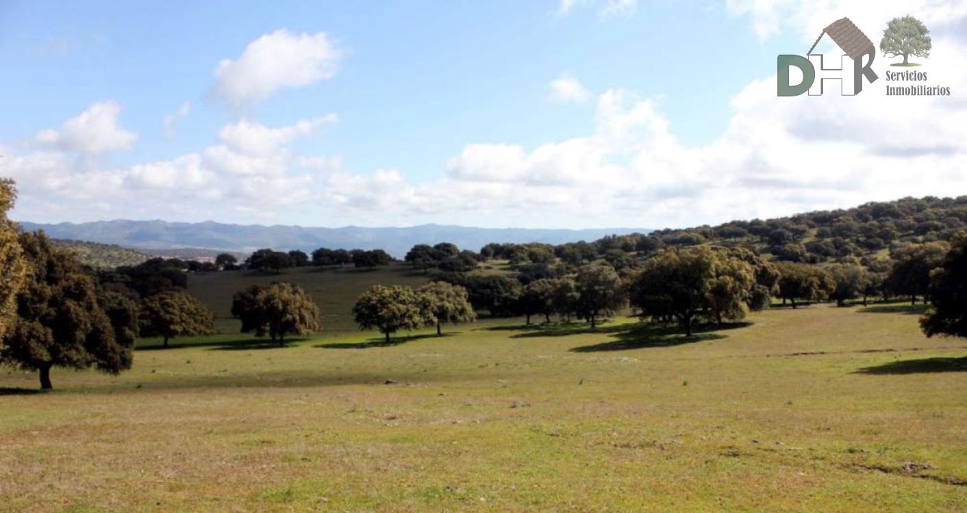 Venta de terreno en Cáceres Venta de terreno en Cáceres