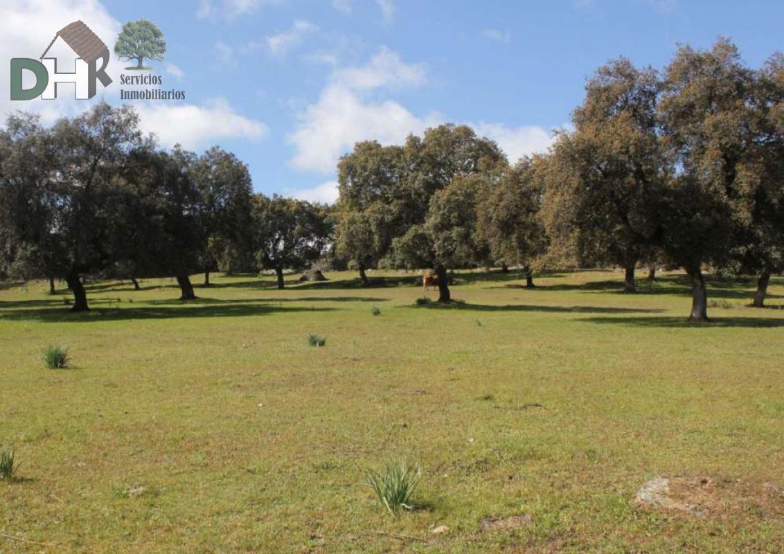 Venta de terreno en Cáceres Venta de terreno en Cáceres