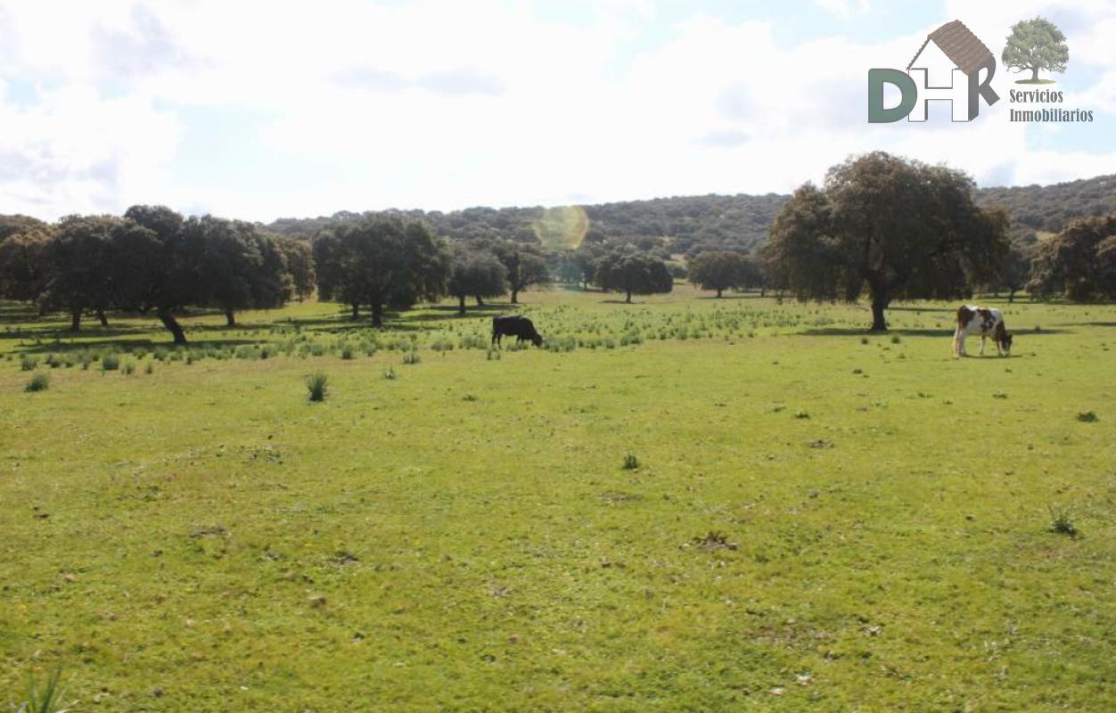 Venta de terreno en Cáceres Venta de terreno en Cáceres