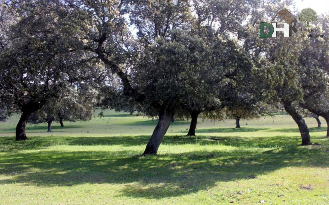 Venta de terreno en Cáceres Venta de terreno en Cáceres