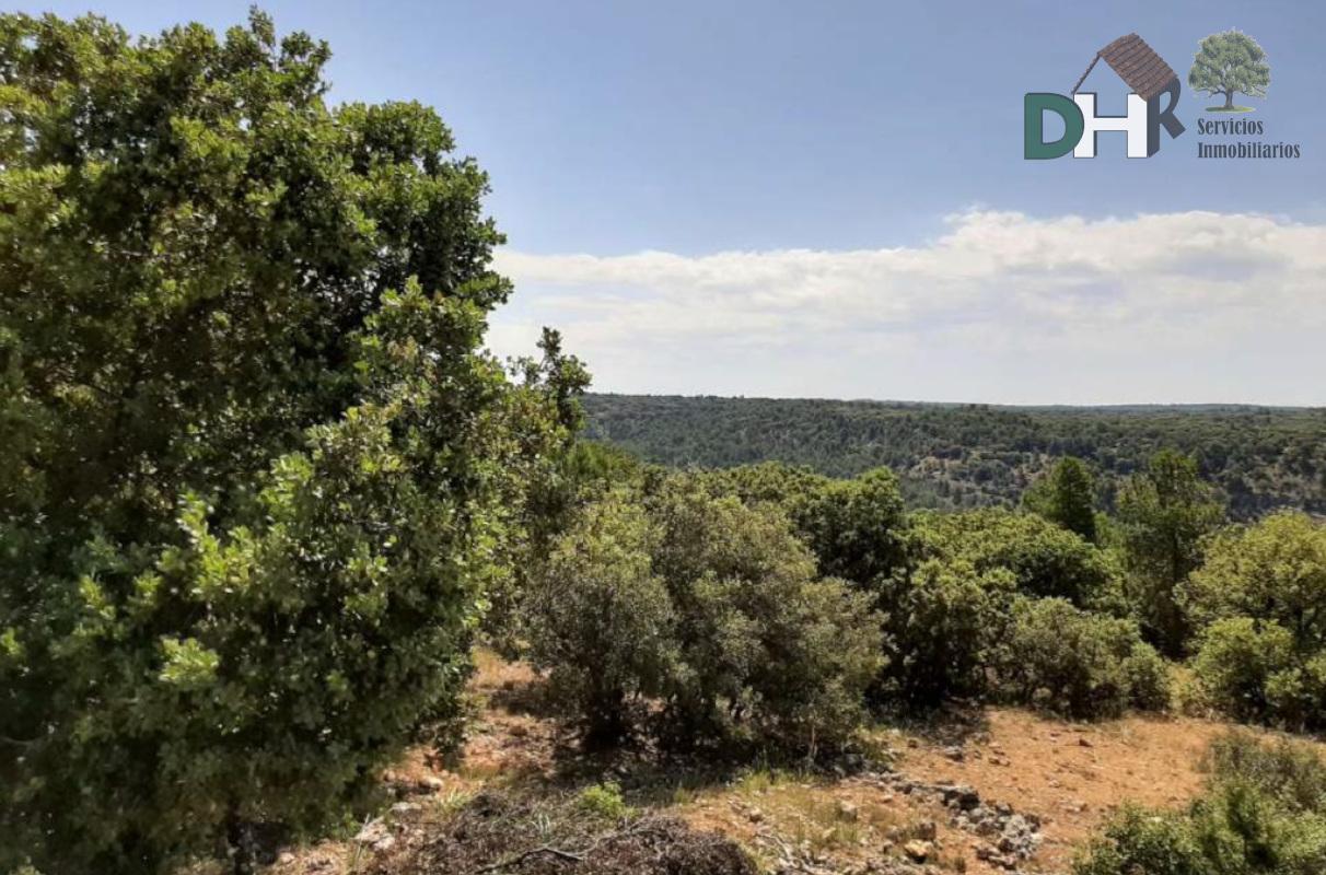 For sale of land in Cuenca