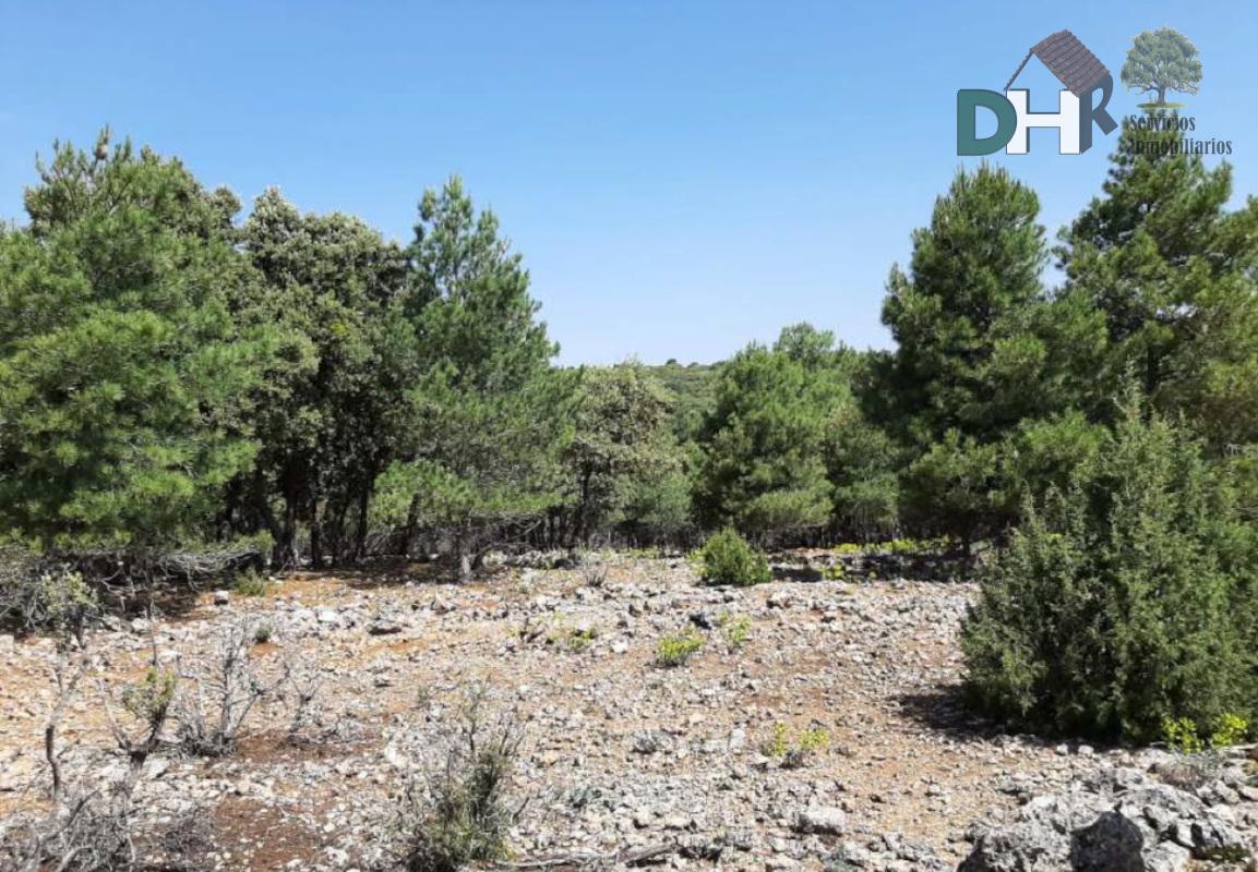 Venta de terreno en Cuenca